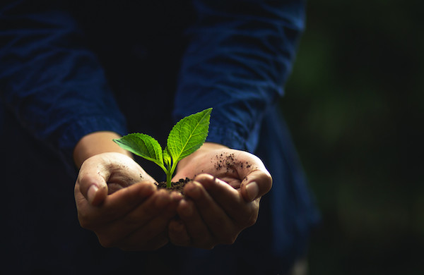 Investment Sustainability